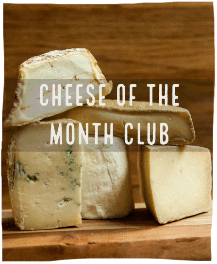 Cheese of the month club image of 4 cheeses stacked next to each other