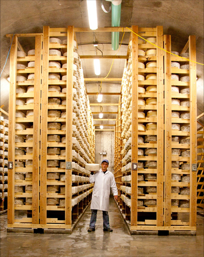 Cheese aging facility with numerous wheels stacked on wooden racks, Jasper Hill Farm.