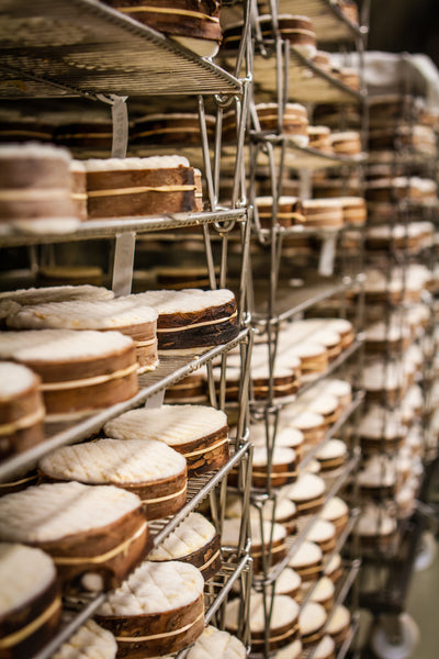 Cheese aging on racks in a specialty cheese workshop.