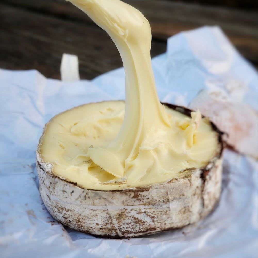 image of a knife coated in harbison cheese that is dripping off 