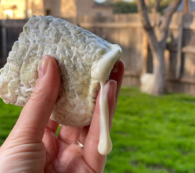 image of a hand holding a piece of Sofia cheese that is dripping down the outside 