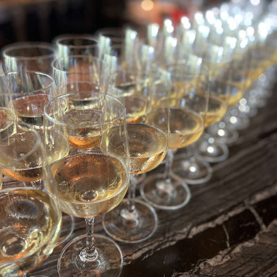 image of 20 wine glasses filled with champagne in advance of cheese and wine tasting