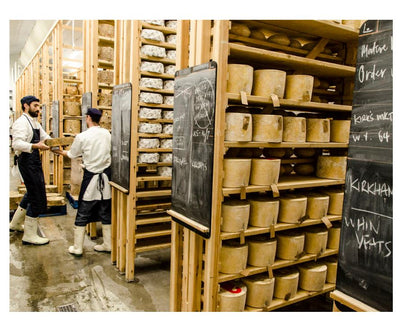 Cheese aging room with shelves of cheese wheels and two workers discussing.