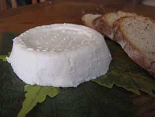 CHEVRE / CKC Farms / Blanco, TX / Past. Goat / Fresh